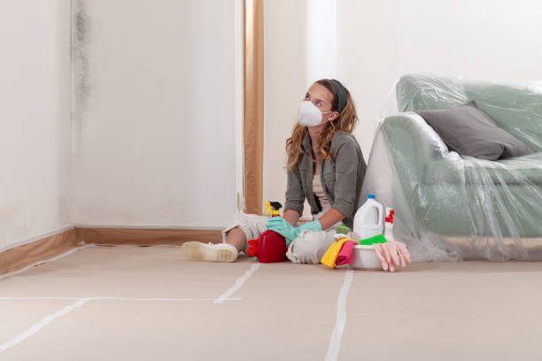 Reliable Basement Mold Remediation contractor in Upperville, VA by 24 Hour Mold Removal
